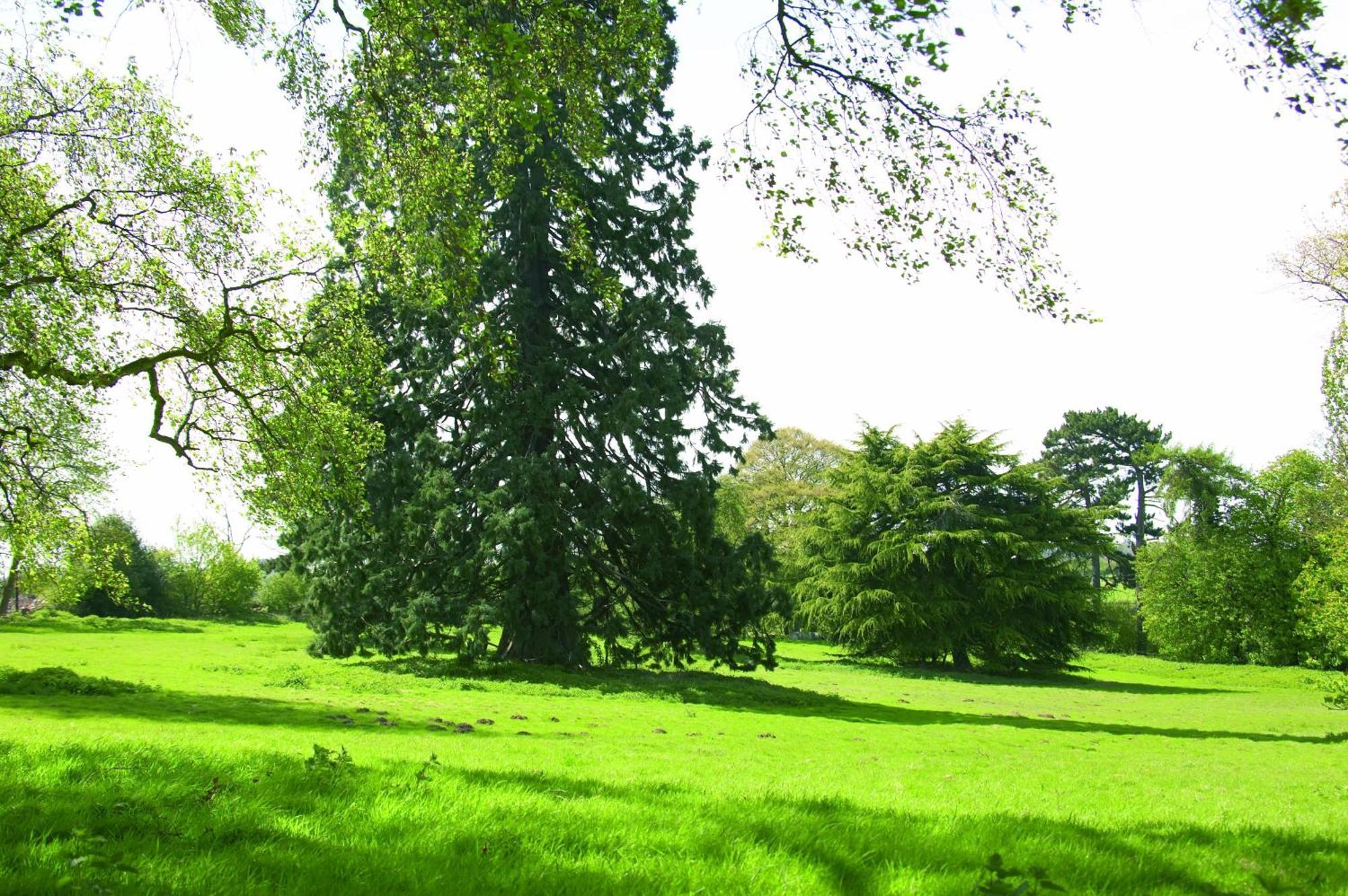 מלון Lillington  Woodland Grange מראה חיצוני תמונה